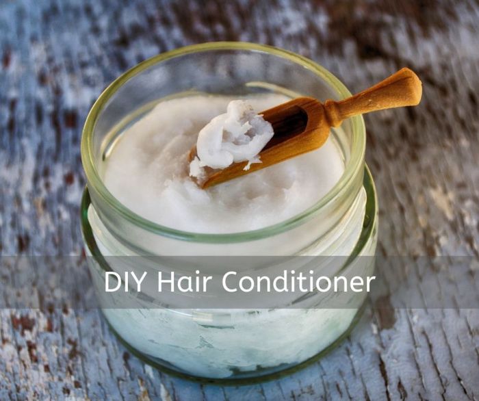Diy hair conditioner dry homemade natural frizzy manageable ingredients treat dull awesome today