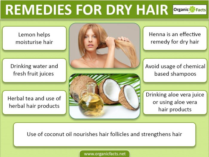Hair dry remedies treatment natural get homemade scalp conditioners detanglers dryness amazing also reduce healthy organic