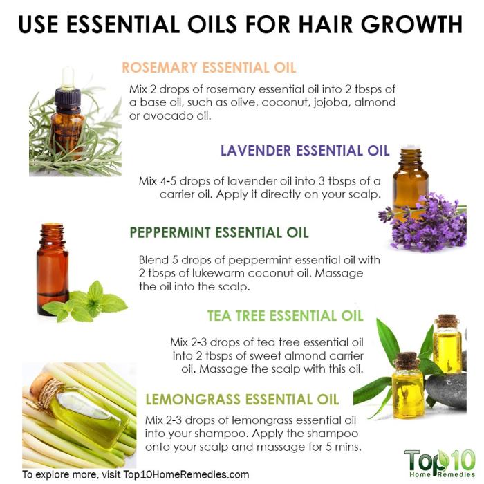 Oils hair growth essential top natural herbs faster top10 grow world Oils hair growth essential top natural herbs faster top10 grow world