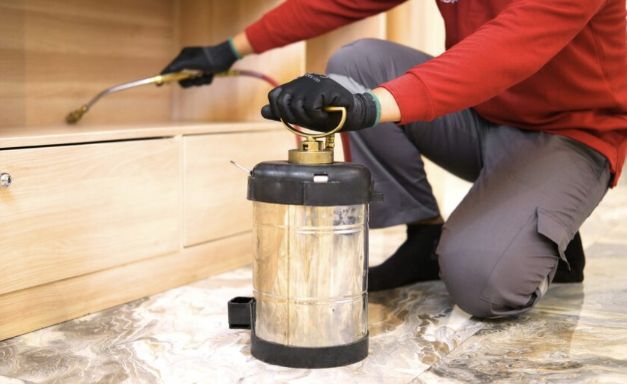 Rekomendasi Jasa Anti Rayap Terbaik untuk Perlindungan Bangunan Anda